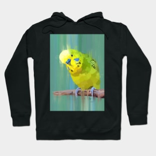 Kiwi Hoodie